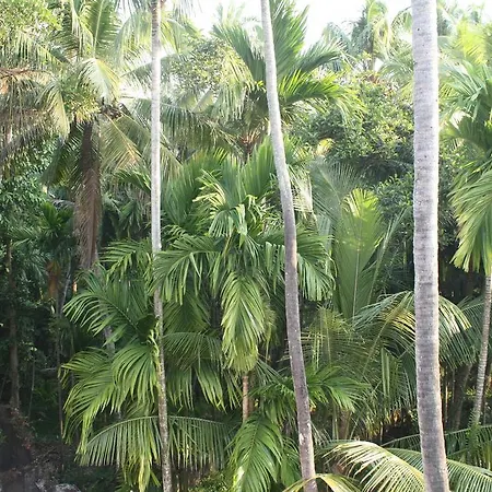 Greenview Homestay Kochi Room photo